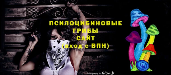 мет Осташков