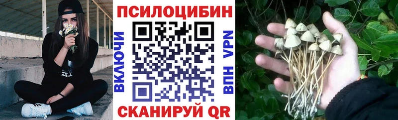 Псилоцибиновые грибы Magic Shrooms Арск